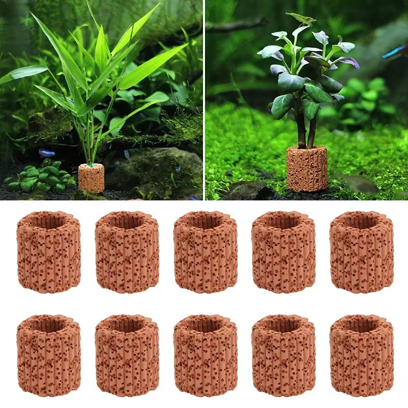 Aquarium Planted Seeds - Aquatic Plant Fixed Ring for Aquarium