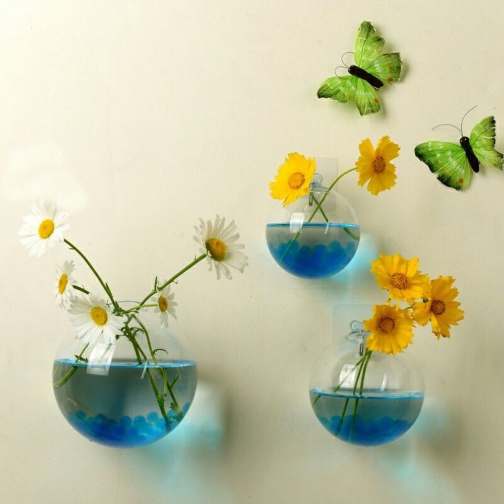 Aquarium Plant Display - Transparent Glass Vase Wall Hanging Hydroponic