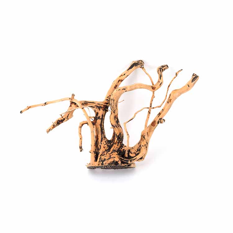 Aquarium Plants For Sale - Wholesale Hot Sale Natural Decorations Fish