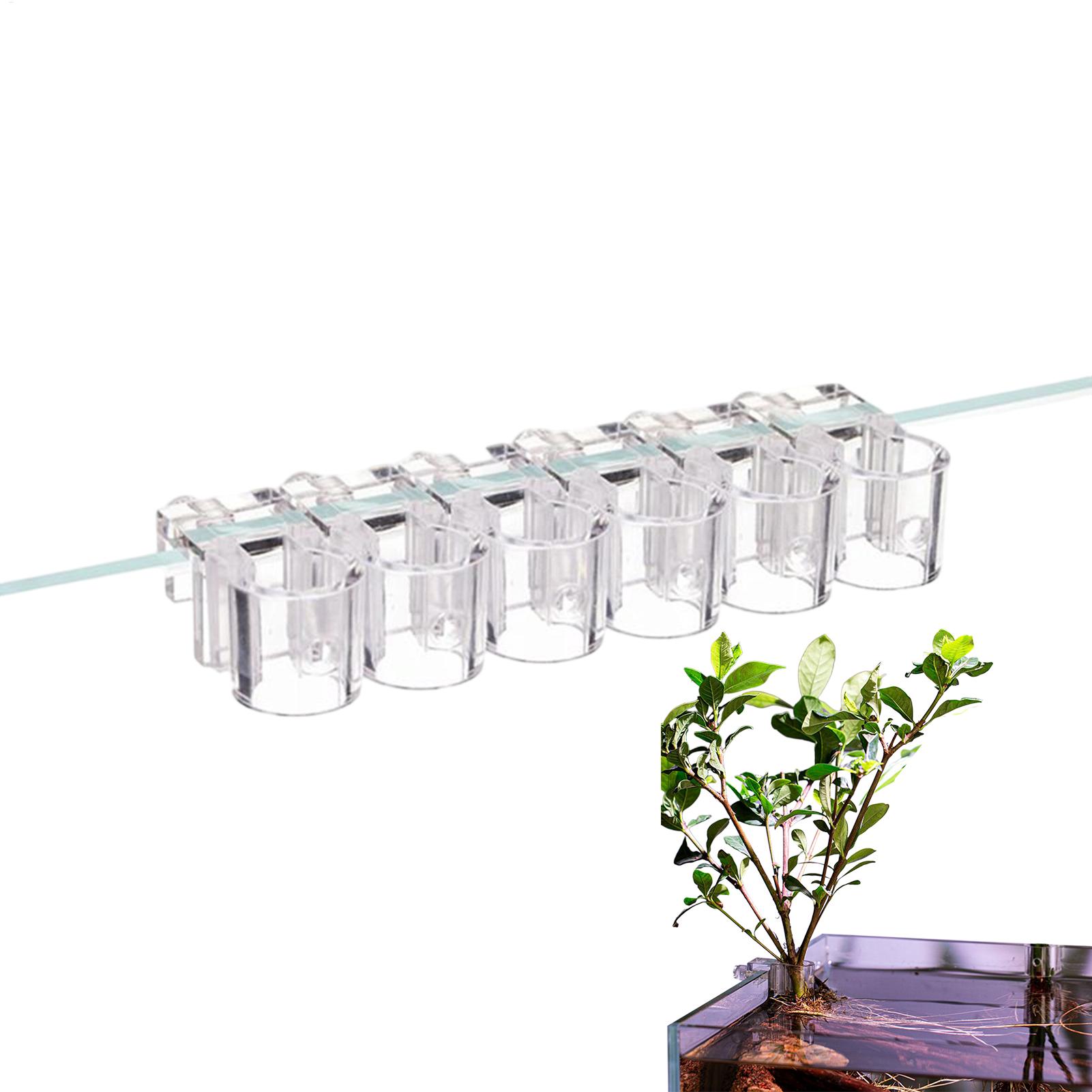 Aquarium Plant Display - Aquarium Plant Basket Transparent Fish Tank
