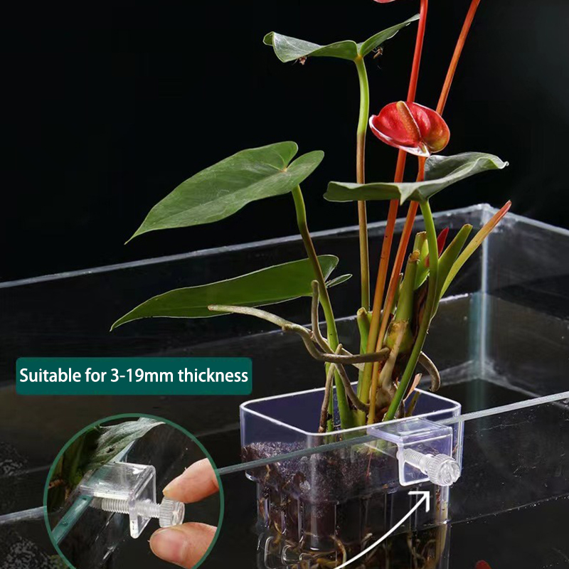 Aquarium Planted Fish - Multifunctional Fish Aquarium Water Grass Planting