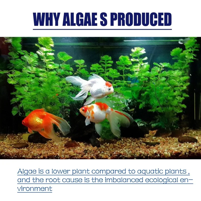 50g High Efficiency Algaecide  - Planted Aquarium Moss review and price