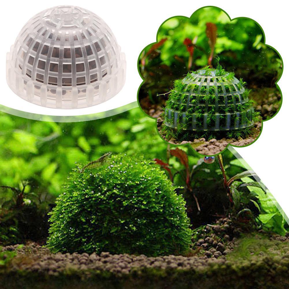 1pc Aquarium Moss Ball Holders - Planted Aquarium Models review and price