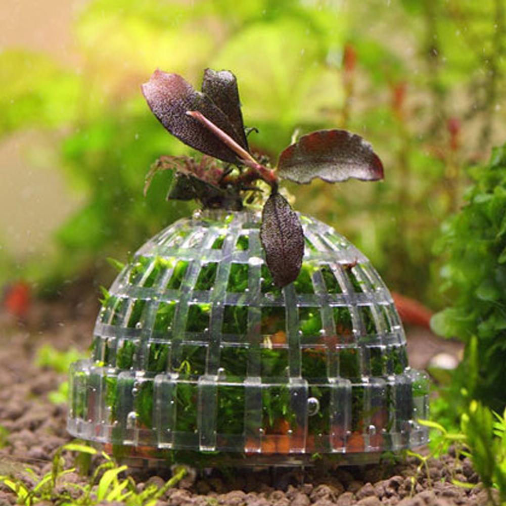 1pc Aquarium Moss Ball Holders - Planted Aquarium Models review and price