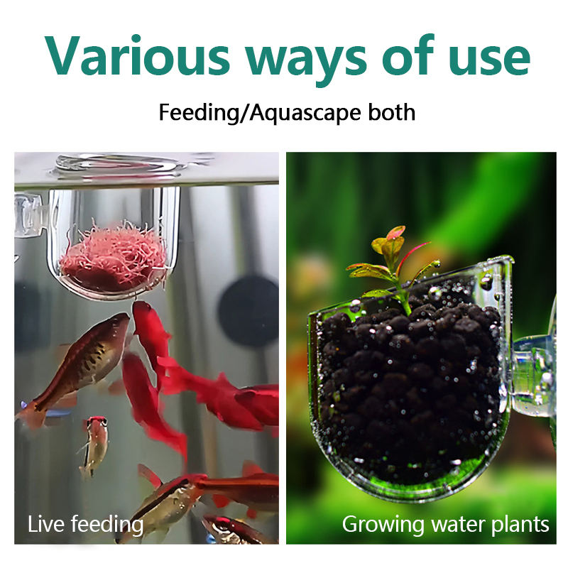 Aquarium Decoration Plant Cup  - Planted Aquarium Products review and price