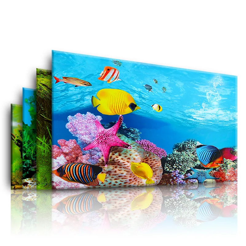 Background for Aquarium 3d  St - Aquarium Plant Display review and price