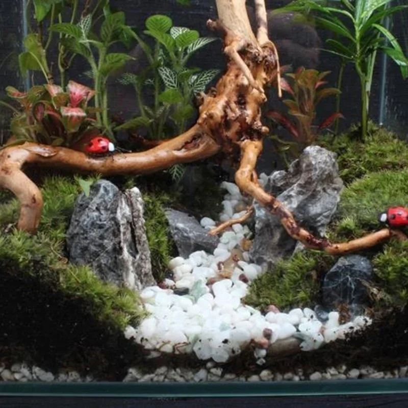 Natural Tree Trunk Driftwood A - Aquarium Plant Root Tabs review and price