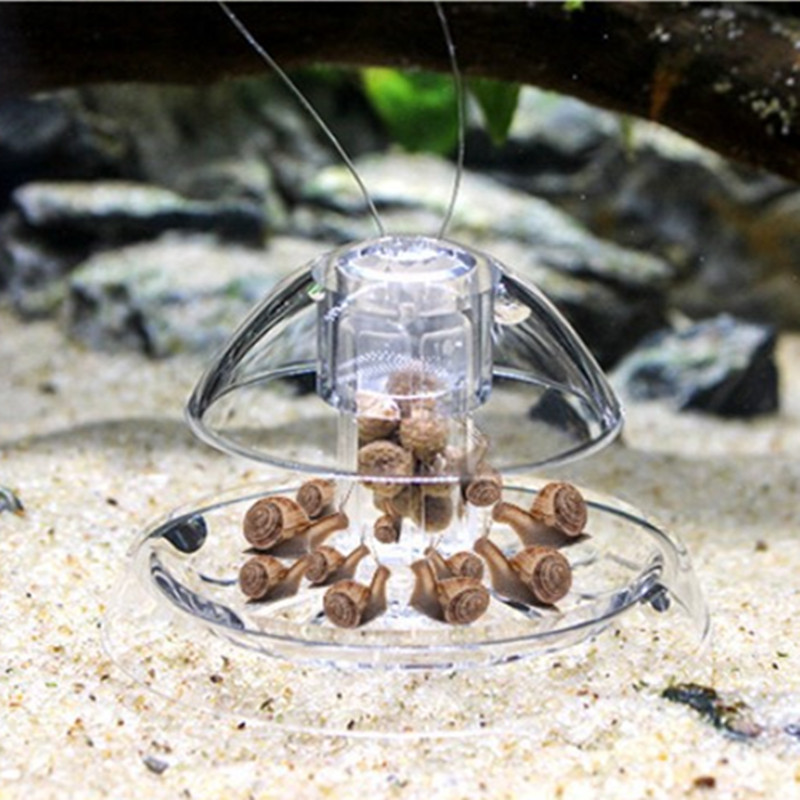 1PCS Fish Tank Aquarium Cleane - Planted Aquarium Products review and price