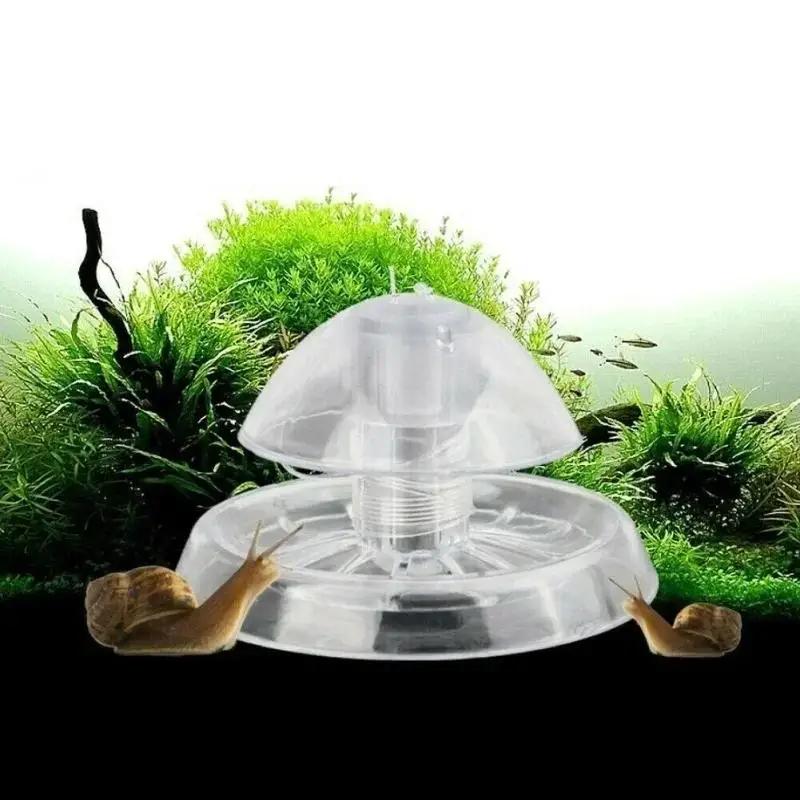 2026 New 6/8CM Clear Plastic S - Aquarium Plants review and price