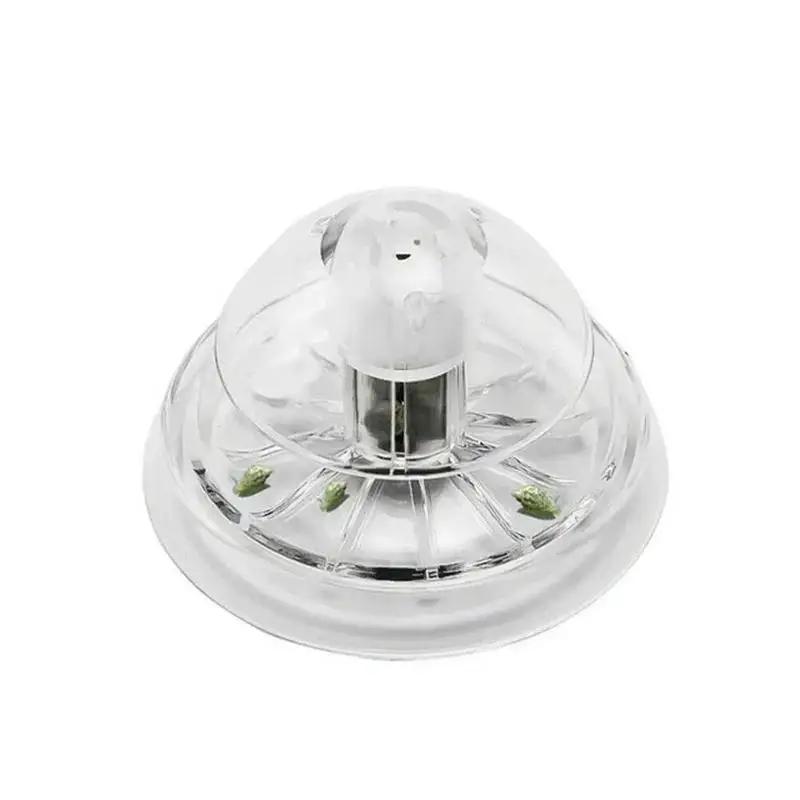 2026 New 6/8CM Clear Plastic S - Aquarium Plants review and price