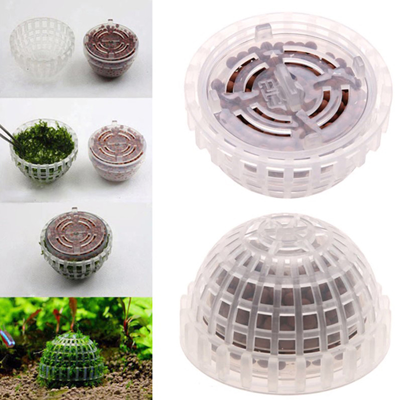 Hot Sale Aquatic Pet Supplies  - Aquarium Plants For Sale review and price