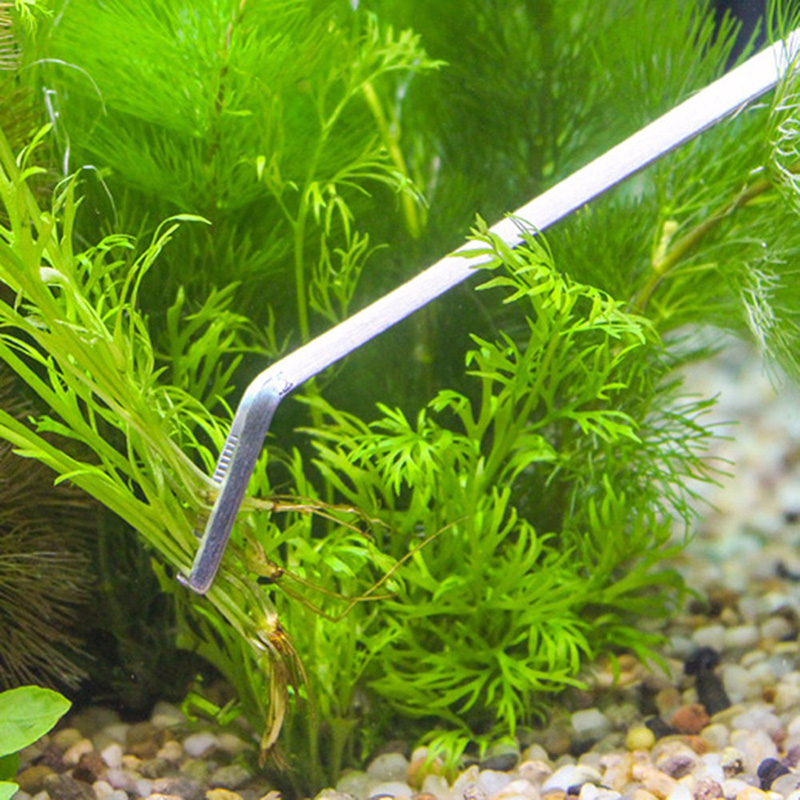 Professional Aquarium Maintena - Planted Aquarium Tool Kit review and price