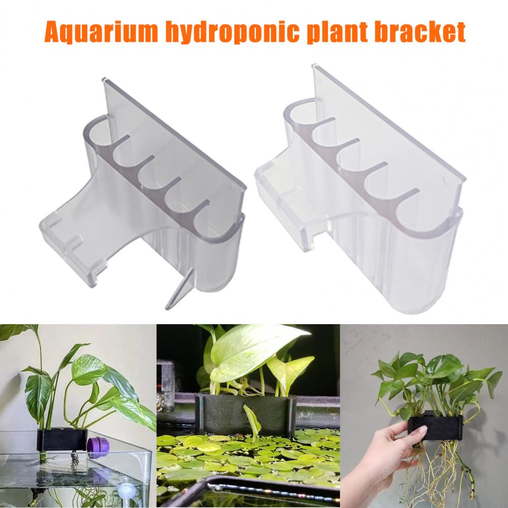 4.5/6.5cm Aquarium Plant Holde - Aquarium Planted Fish review and price