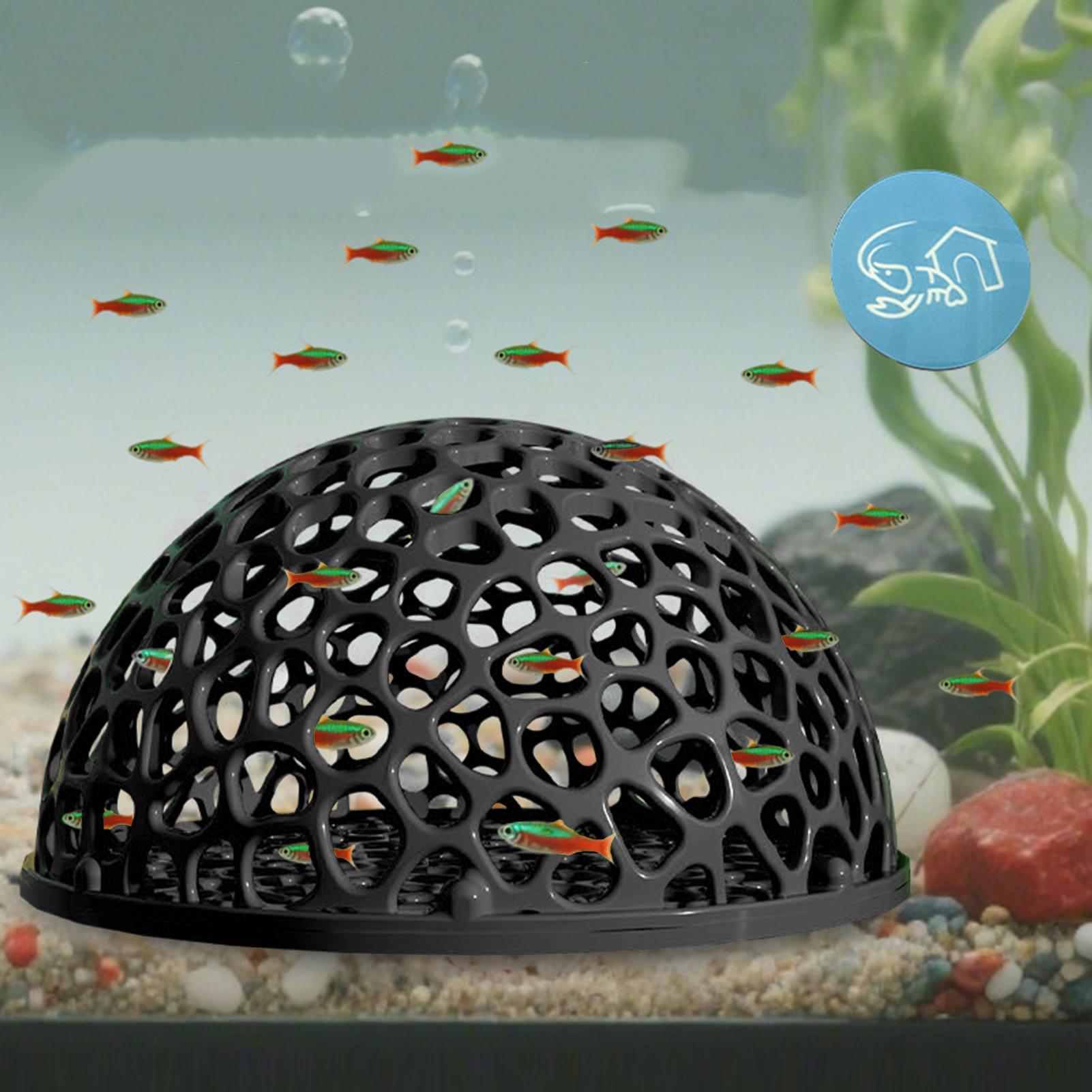 Aquarium Hiden Cave Shelter fo - Aquarium Planted Seeds review and price