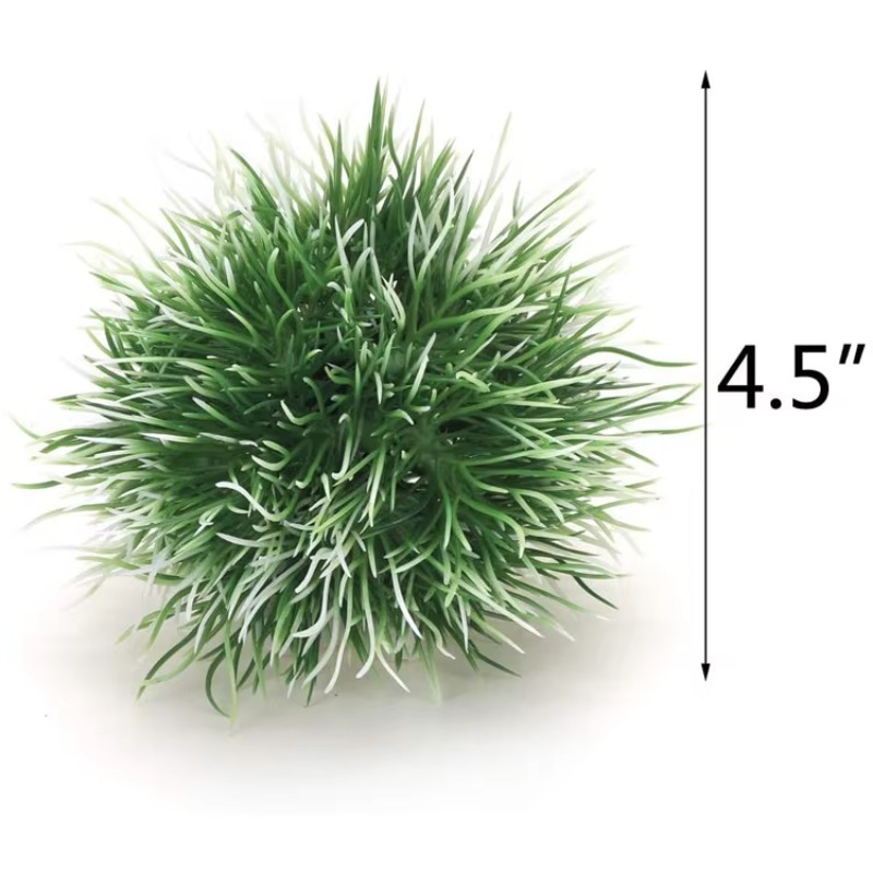 10pcs Hot Selling New Arrival  - Aquarium Plants For Sale review and price