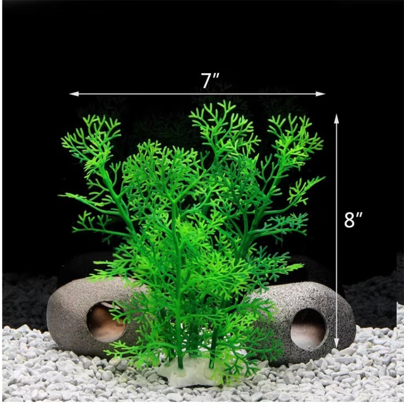 10pcs Hot Selling New Arrival  - Aquarium Plants For Sale review and price
