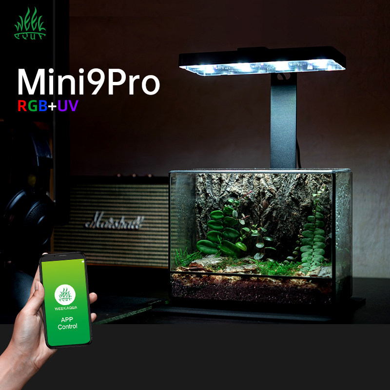 Hot Sale Mini9pro Nano Terrari - Aquarium Plants For Sale review and price