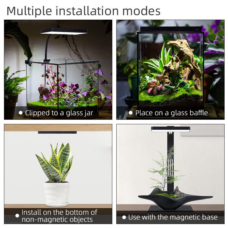 Hot Sale Mini9pro Nano Terrari - Aquarium Plants For Sale review and price