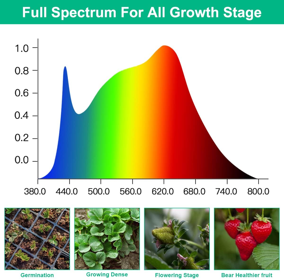 LED Grow Lamps Plant Full Spec - Aquarium Planted Seeds review and price
