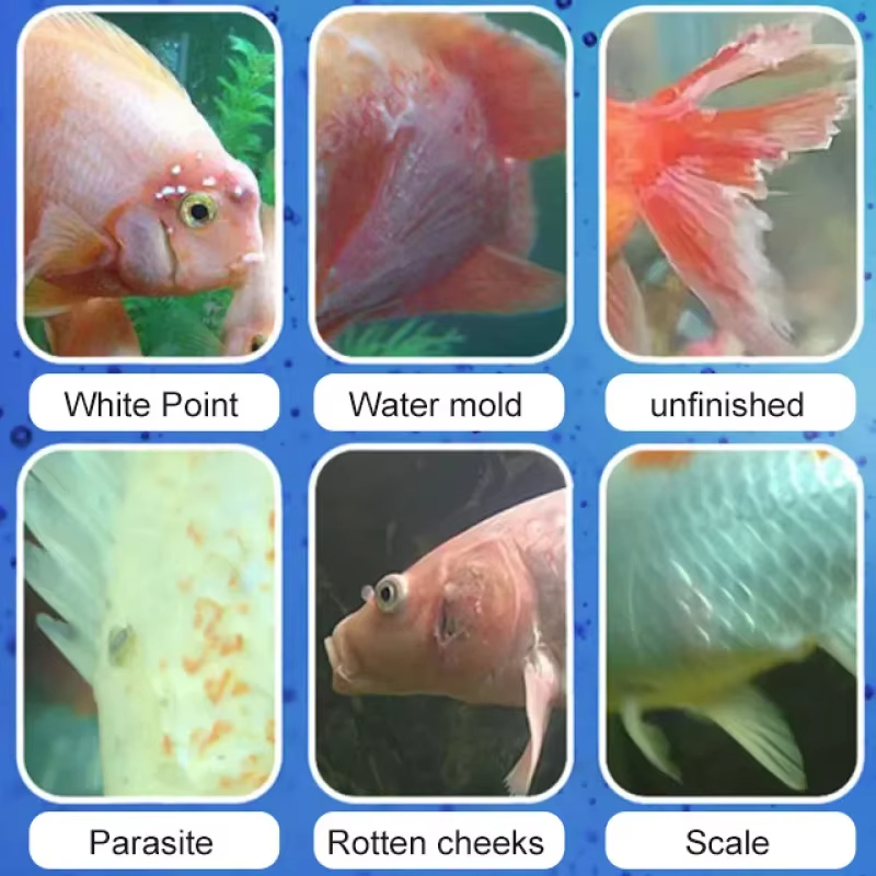 SIKEZHAN Fish Disease Treatmen - Aquarium Plant Root Tabs review and price
