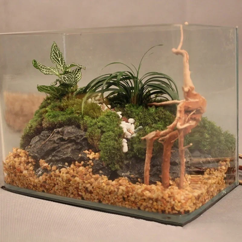 Natural Tree Trunk Driftwood A - Aquarium Plant Root Tabs review and price