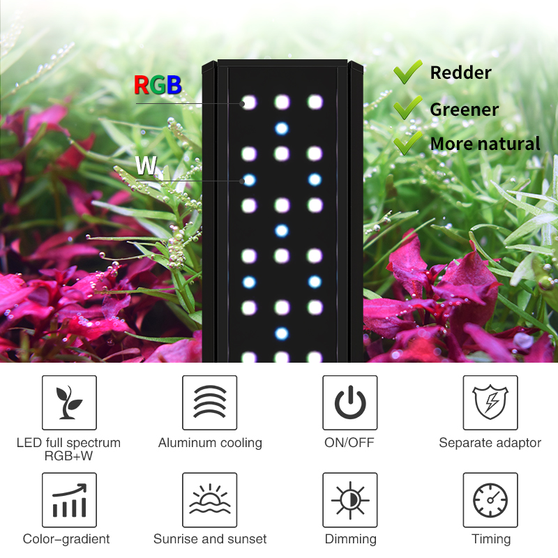 ZXY Hot Sale WEEKAQUA V400 WRG - Aquarium Plants For Sale review and price