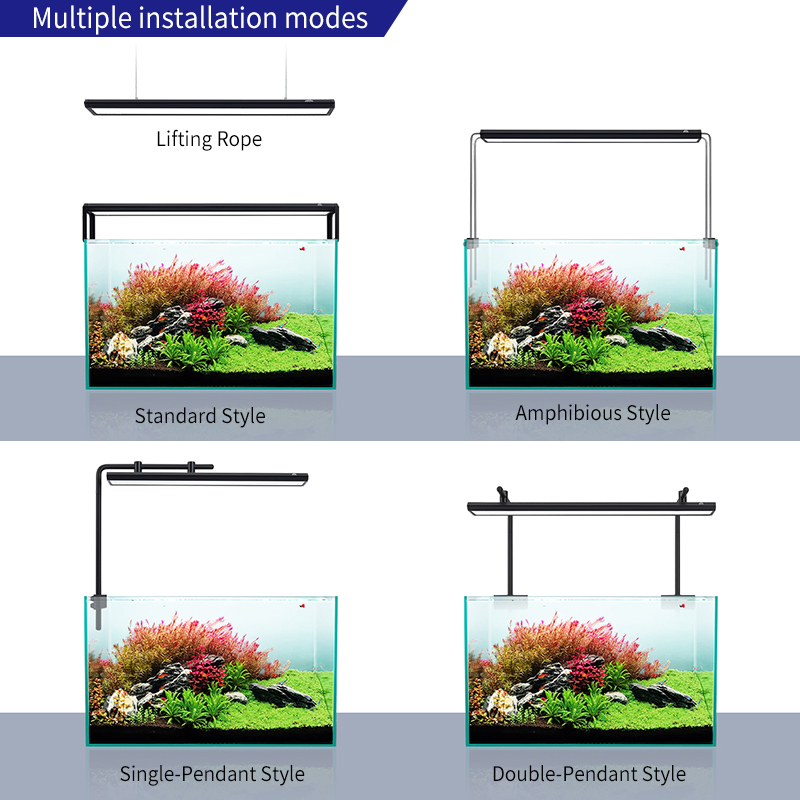 ZXY Hot Sale WEEKAQUA V400 WRG - Aquarium Plants For Sale review and price