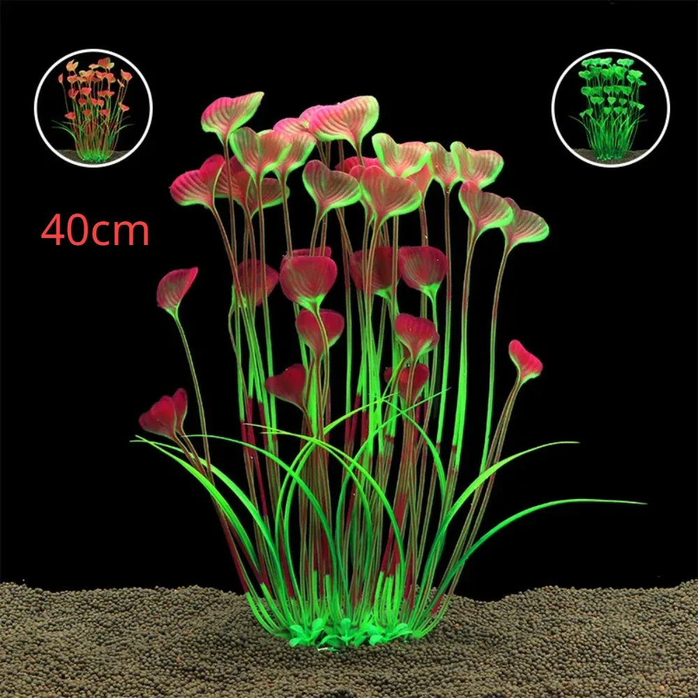 Fish Tank Water Plant Decorati - Aquarium Planted Seeds review and price