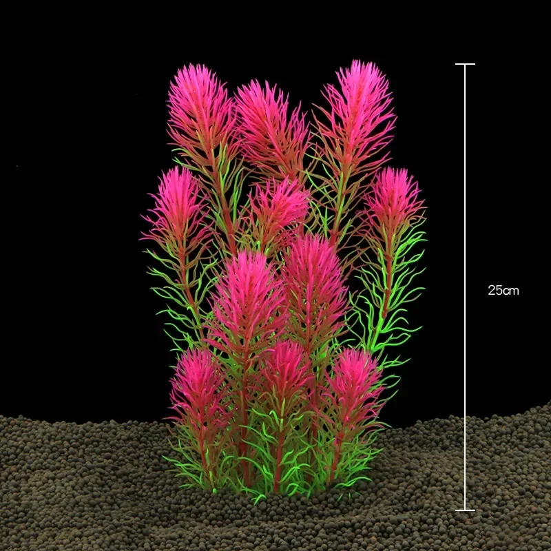 Fish Tank Water Plant Decorati - Aquarium Planted Seeds review and price