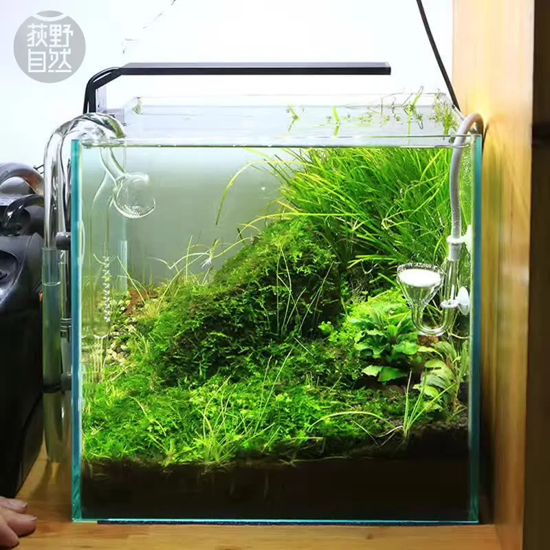Chihiros C Series ADA Style Pl - Planted Aquarium Products review and price