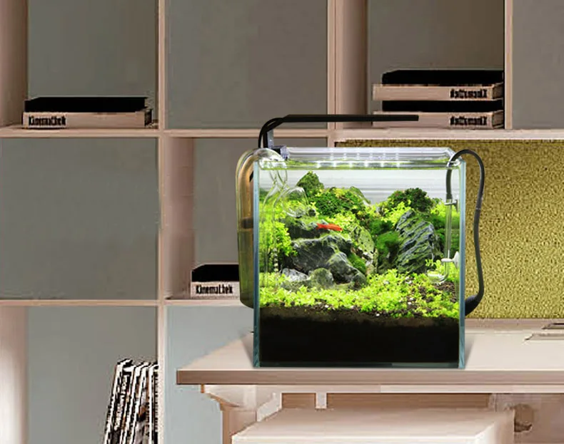 Chihiros C Series ADA Style Pl - Planted Aquarium Products review and price