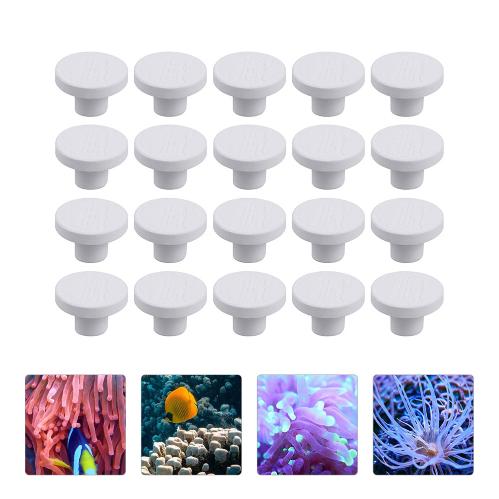 SPS Ceramic Coral Frag Plugs B - Aquarium Plant Display review and price