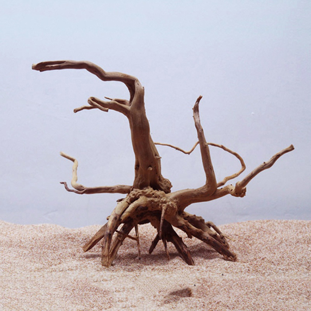 4pc Natural Driftwood Aquarium - Aquarium Plants For Sale review and price