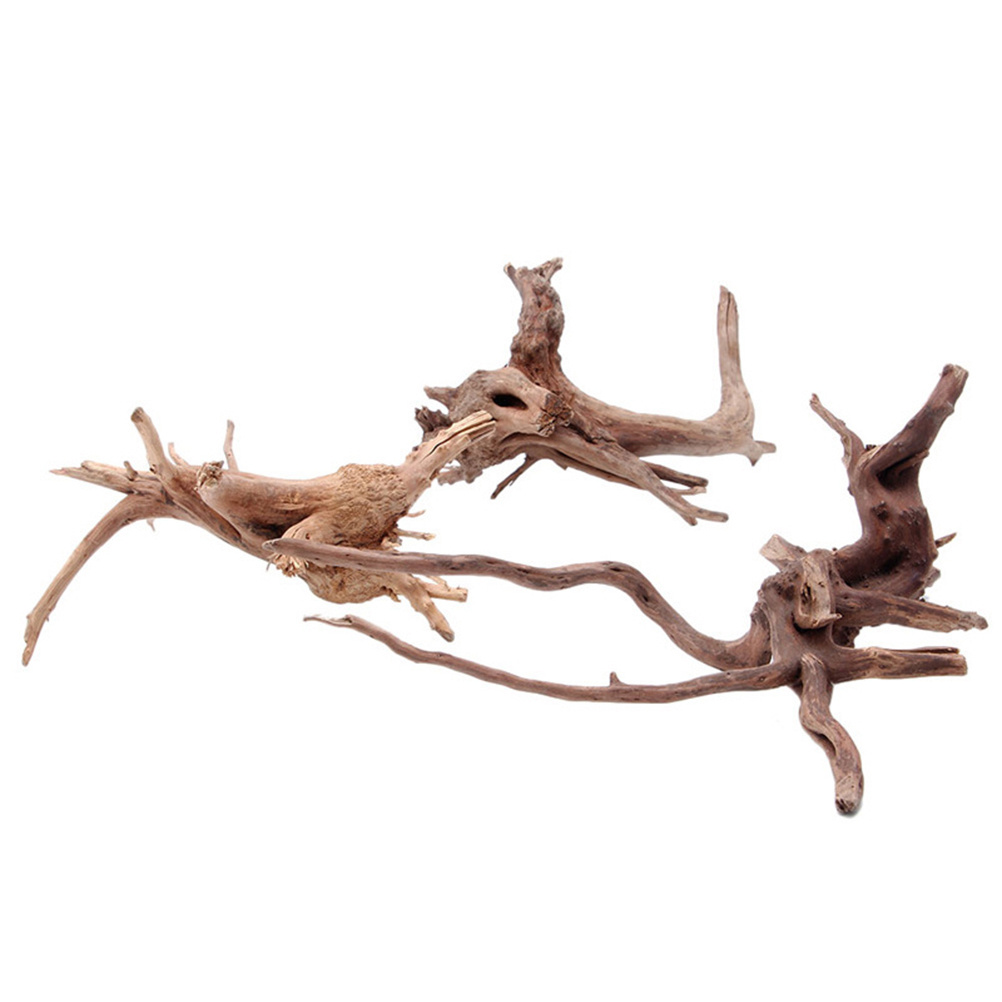 4pc Natural Driftwood Aquarium - Aquarium Plants For Sale review and price