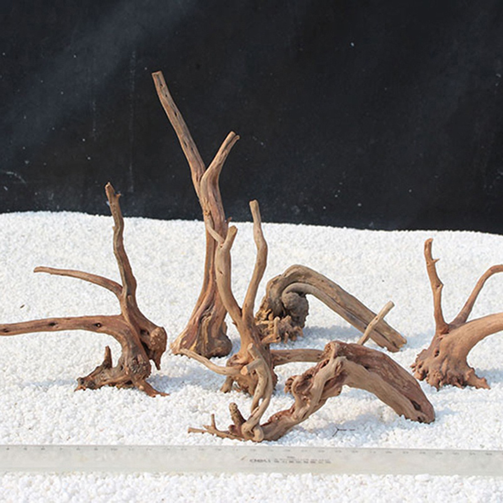4pc Natural Driftwood Aquarium - Aquarium Plants For Sale review and price