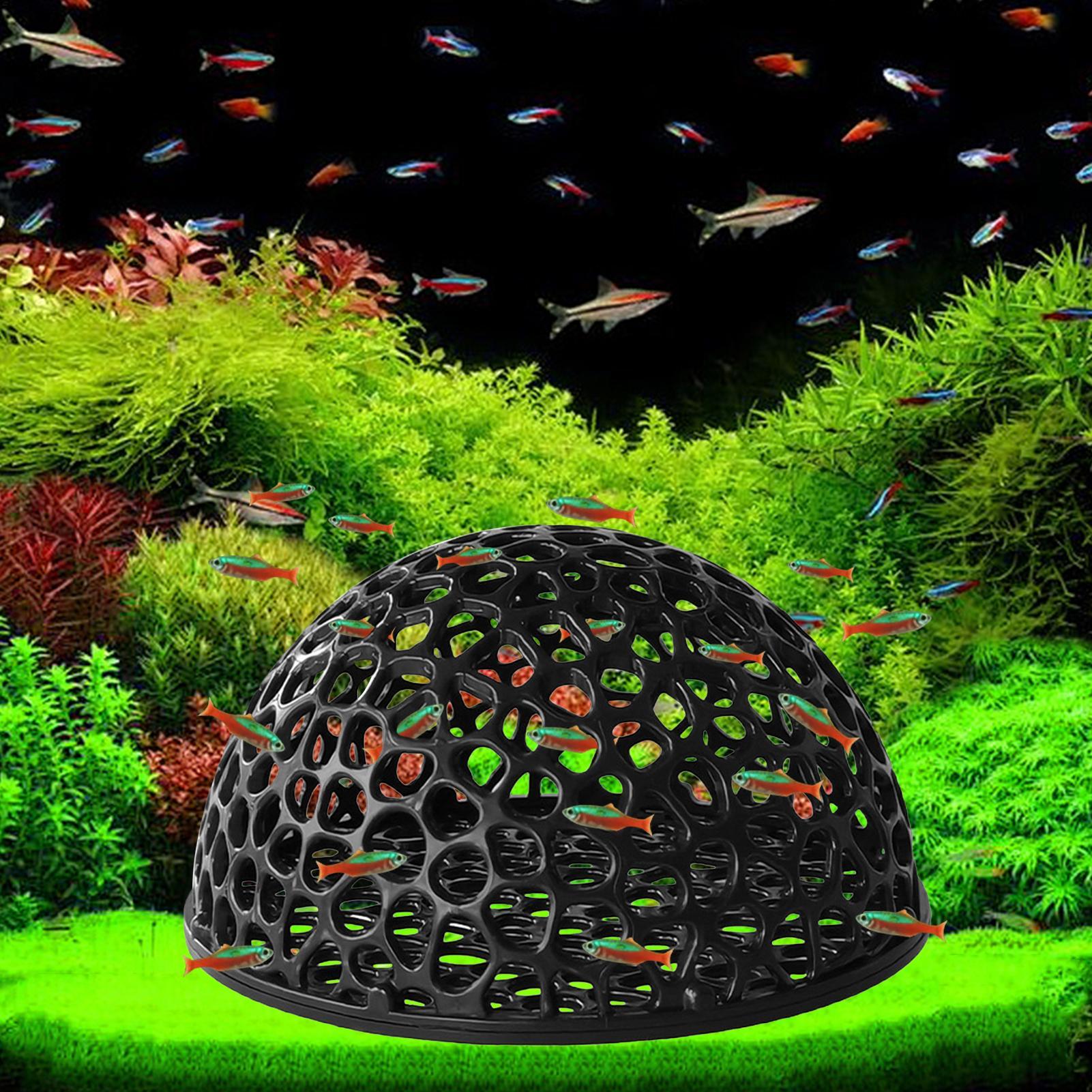 Aquarium Shrimp Hide Aquarium  - Aquarium Planted Seeds review and price