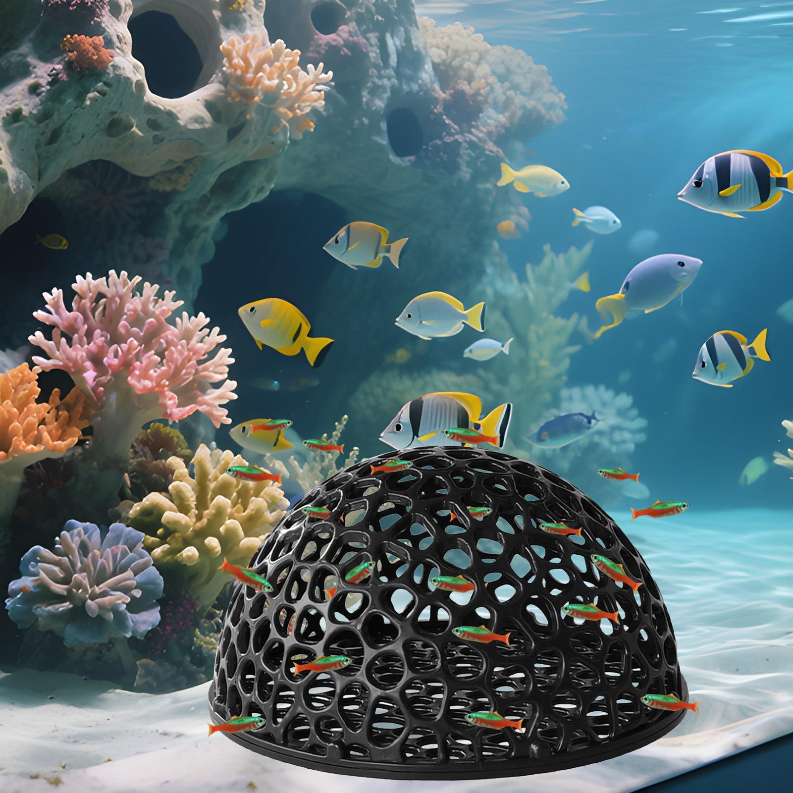 Aquarium Shrimp Hide Aquarium  - Aquarium Planted Seeds review and price