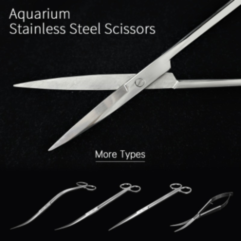 Week Aqua Stainless Steel Aqua - Planted Aquarium Products review and price