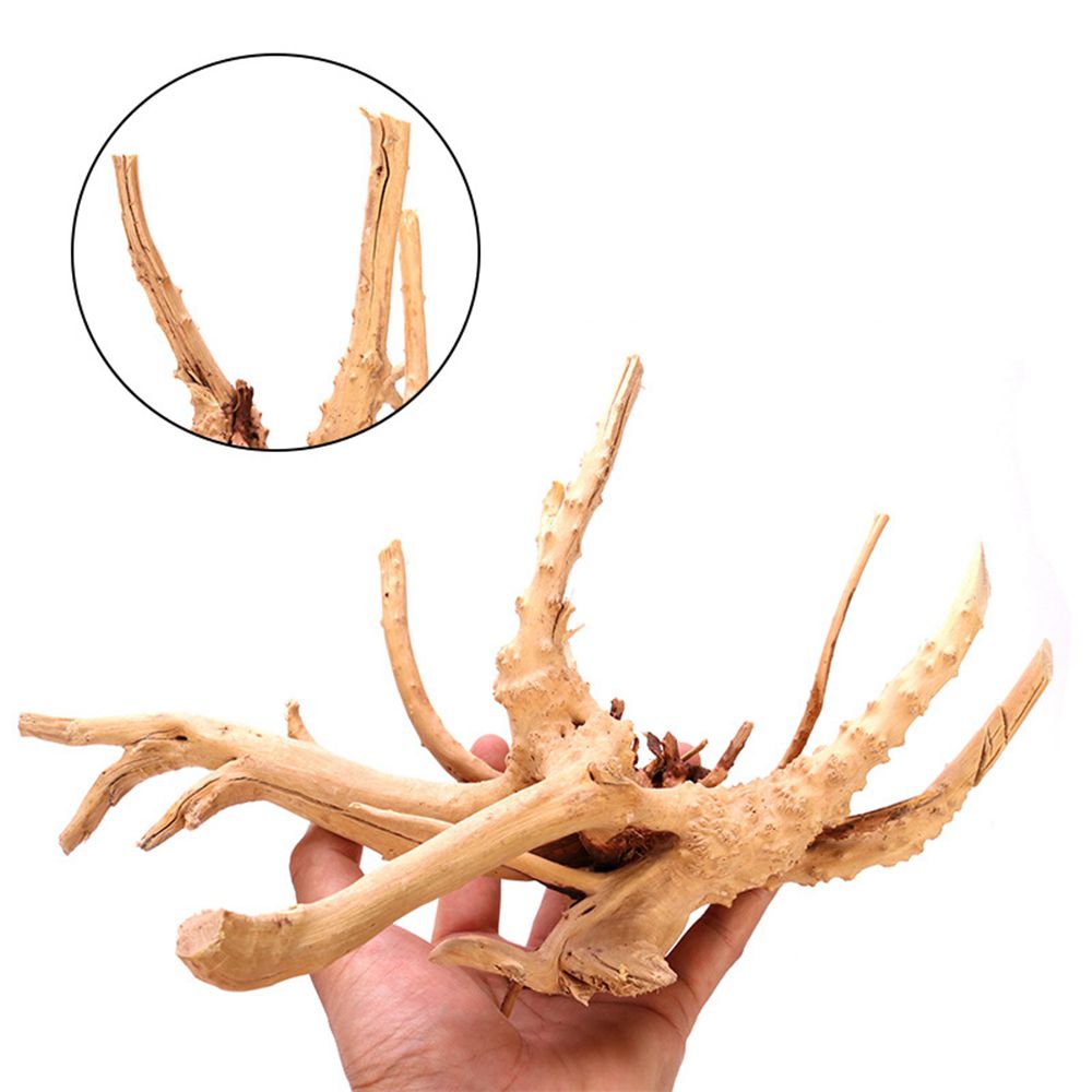 1 Pcs Wood Reptile Fish Tank O - Aquarium Plants review and price