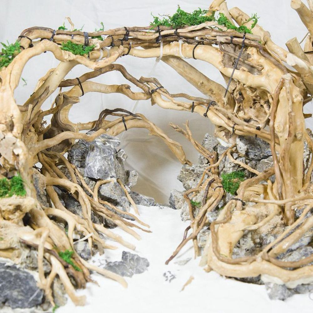 1 Pcs Wood Reptile Fish Tank O - Aquarium Plants review and price