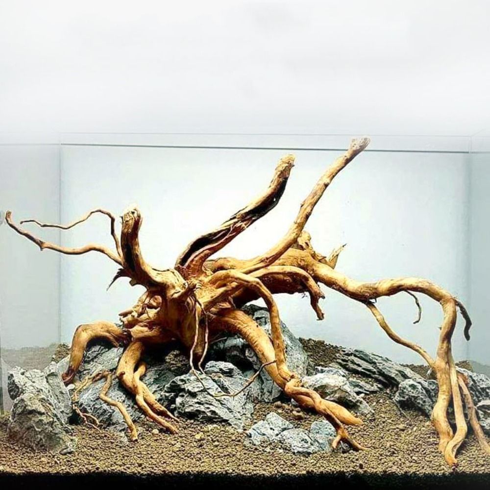 Natural Tree Trunk Aquarium De - Aquarium Plant Root Tabs review and price