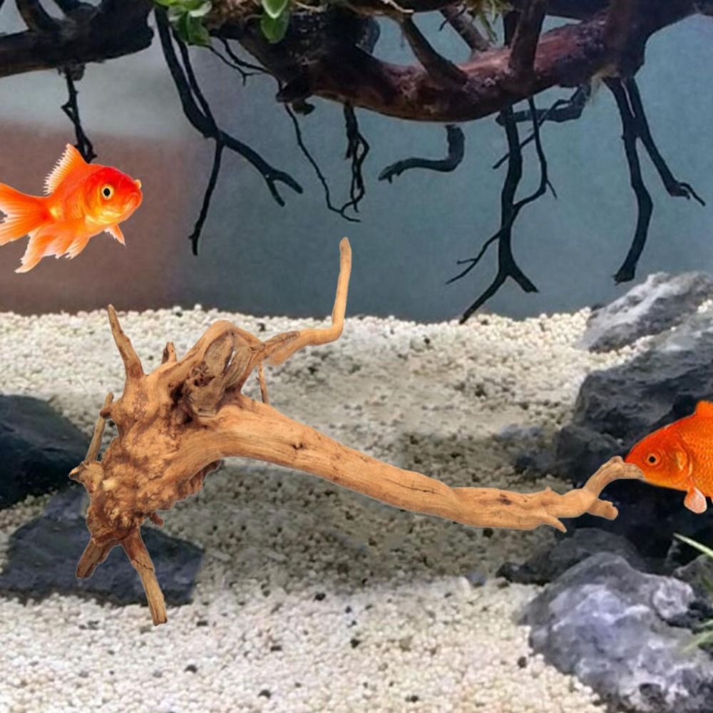 Natural Tree Trunk Aquarium De - Aquarium Plant Root Tabs review and price