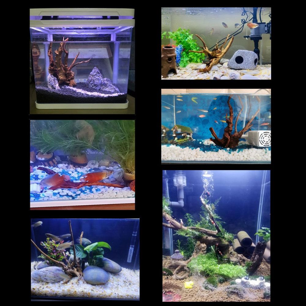 Natural Tree Trunk Aquarium De - Aquarium Plant Root Tabs review and price
