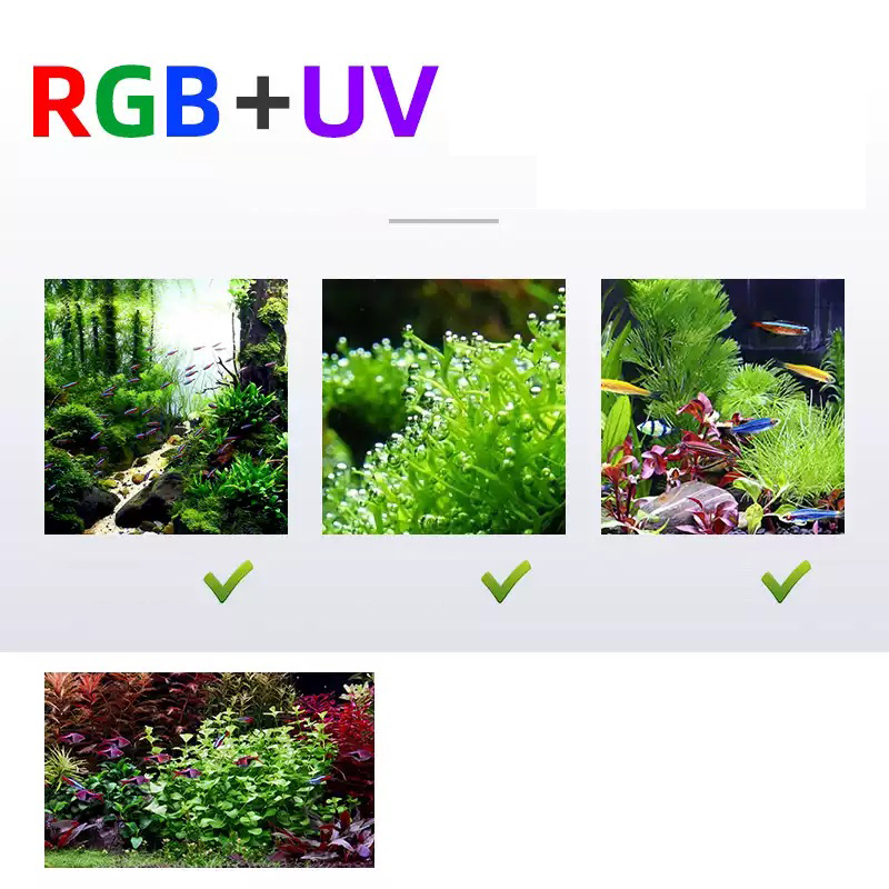 Led Lighting 60cm 80cm 90cm RG - Aquarium Plants For Sale review and price