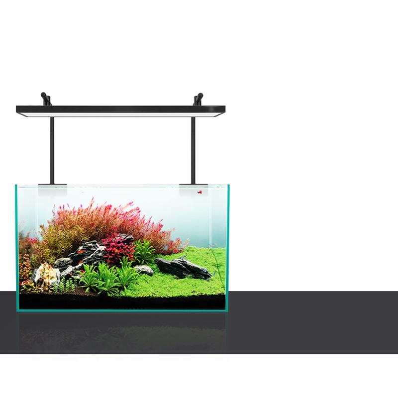 Led Lighting 60cm 80cm 90cm RG - Aquarium Plants For Sale review and price
