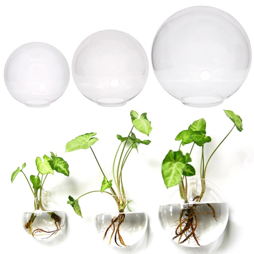 Transparent Glass Vase Wall Ha - Aquarium Plant Display review and price