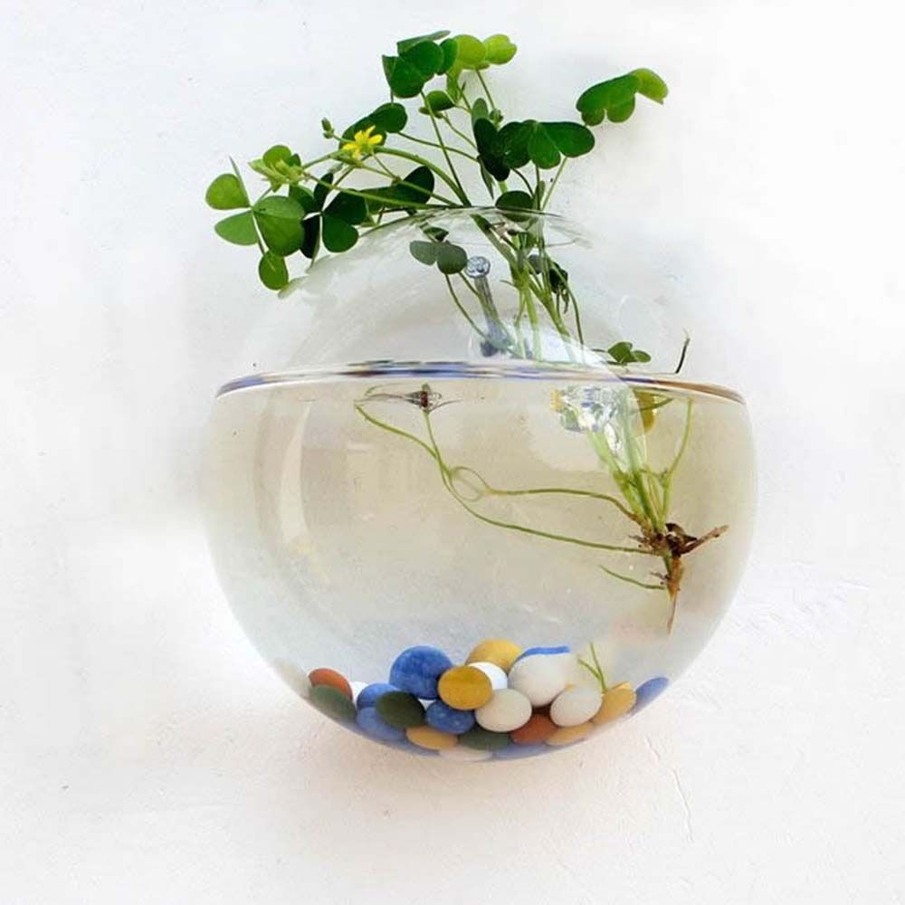Transparent Glass Vase Wall Ha - Aquarium Plant Display review and price