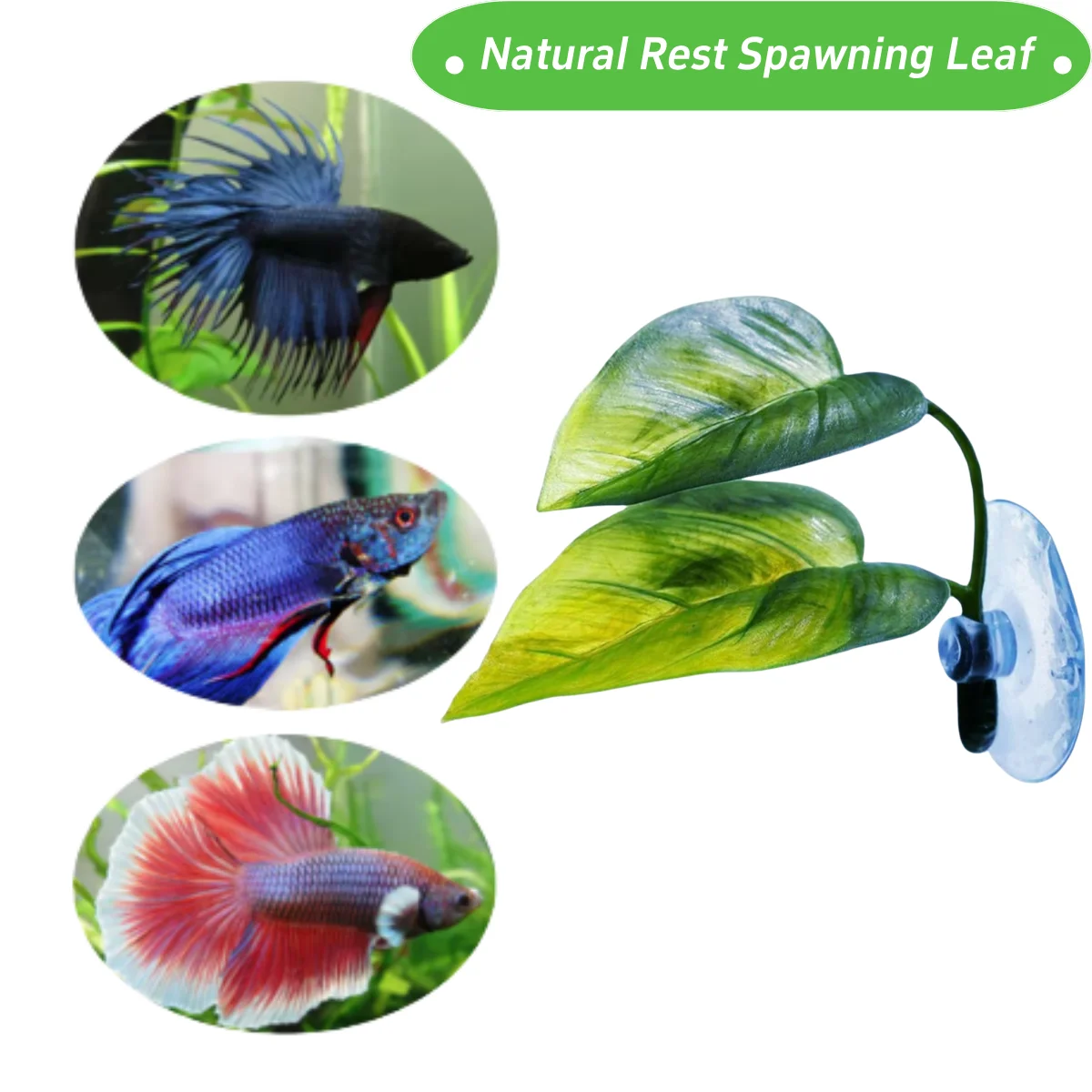 Pets Fish Tank Decor Betta Rel - Aquarium Plant Display review and price