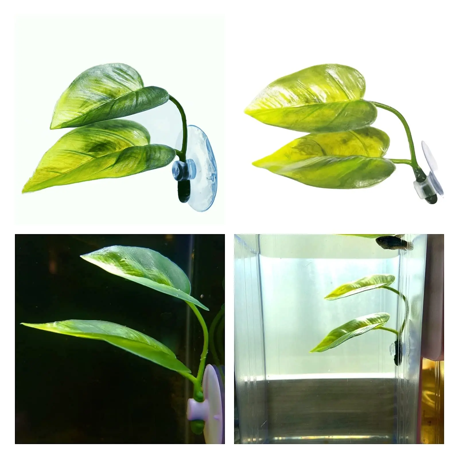 Pets Fish Tank Decor Betta Rel - Aquarium Plant Display review and price
