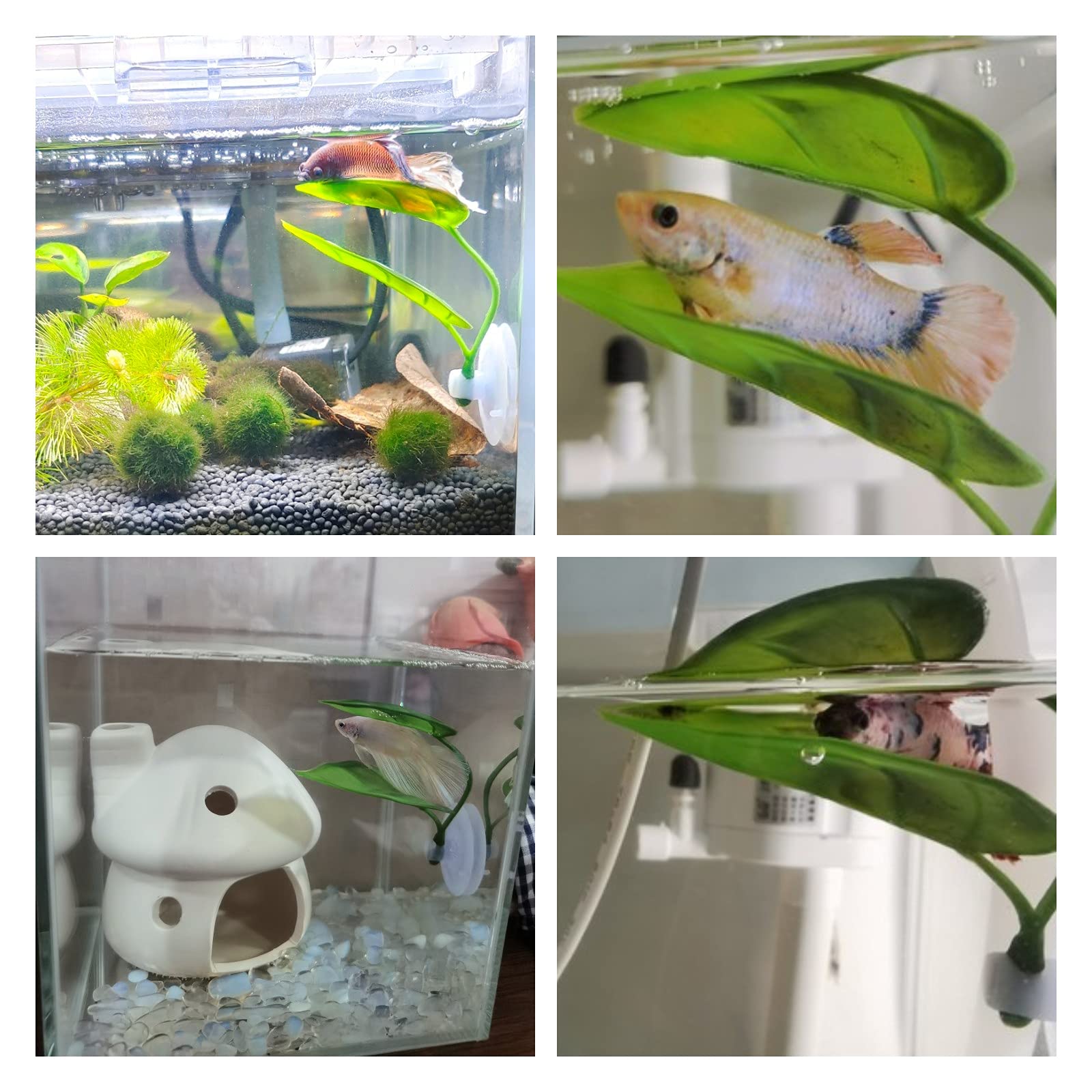 Pets Fish Tank Decor Betta Rel - Aquarium Plant Display review and price